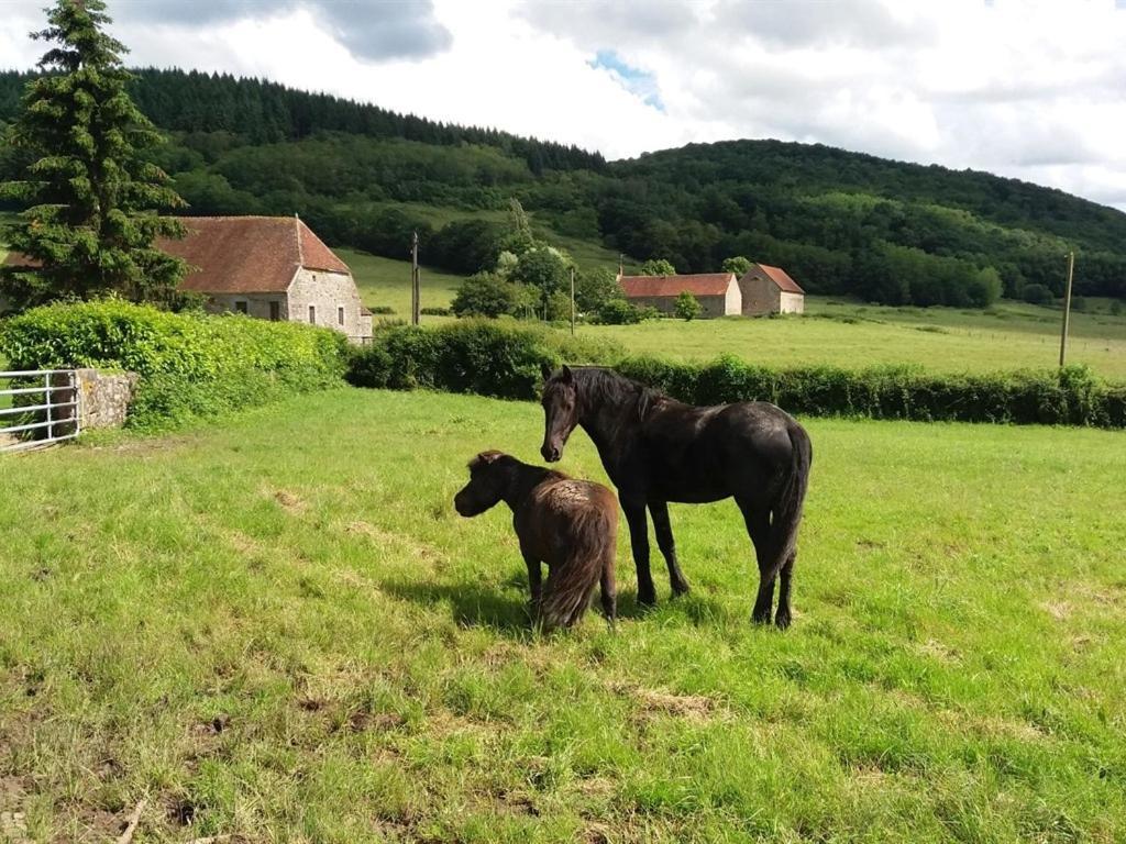 Les Aubues Holiday home Lormes